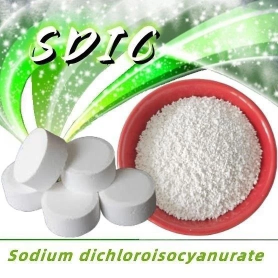 product-556-556 product-556-556
